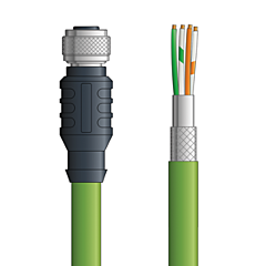 LAPP ETHERLINE&reg; Ethernet Single-Ended Cordsets: 4 Pair CAT6A - 8-pos. female M12 straight connector to Flying leads - Green Polyurethane (PUR) -  C6A004F01 - 1m