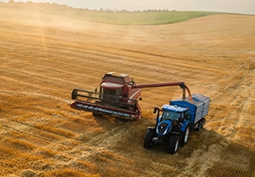 Grain harvester dumps grain into semi-trailer in field