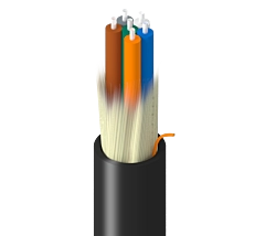 TF-1D9-006-RN5 - Belden - Fiber Optic Cable - Black PVC - 62.5 micrometer  6 Fiber OM1