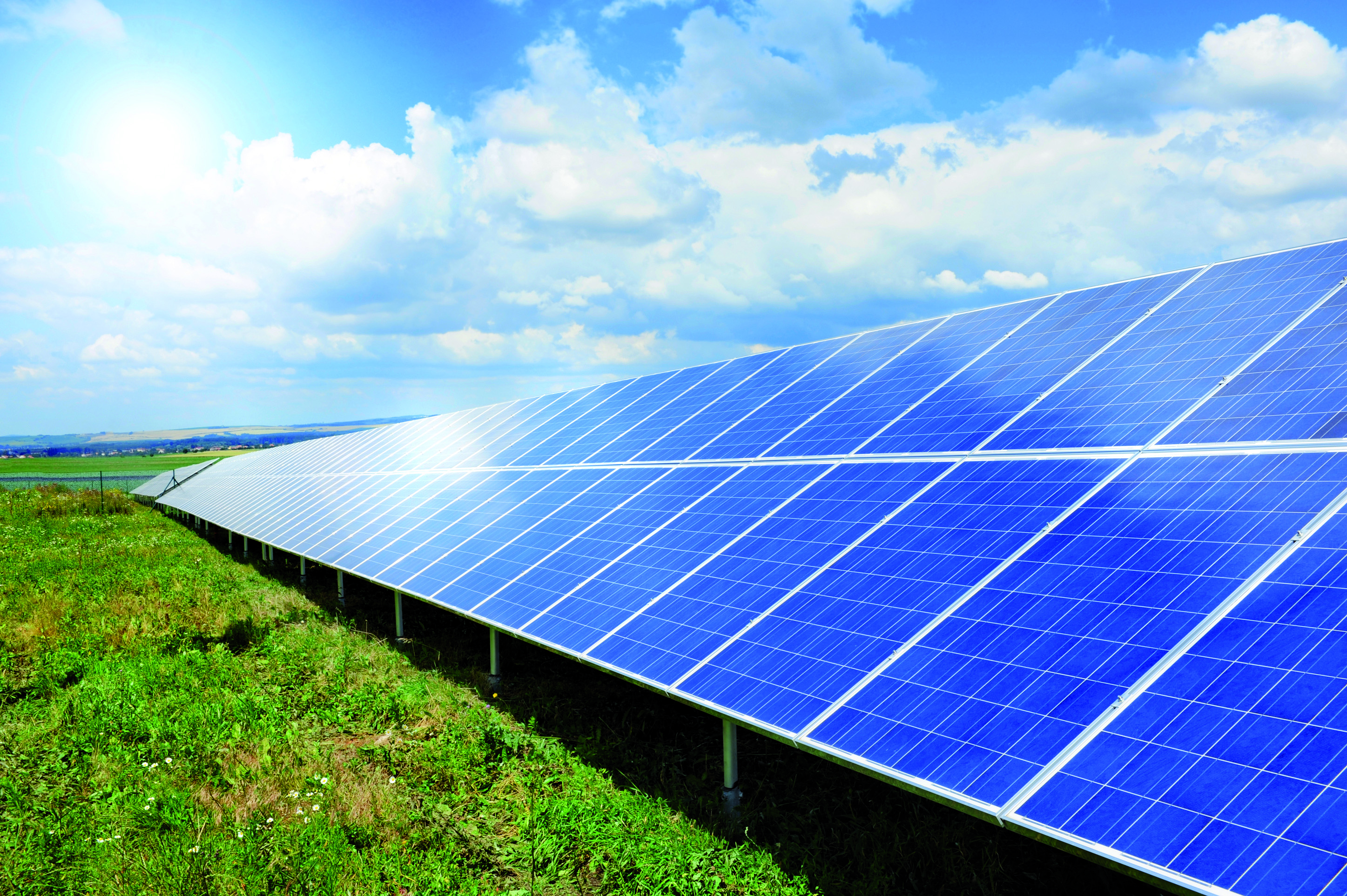 Solar panels in a field.